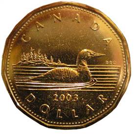 canada_loonie.jpg